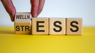 MENTAL HEALTH WELLBEING